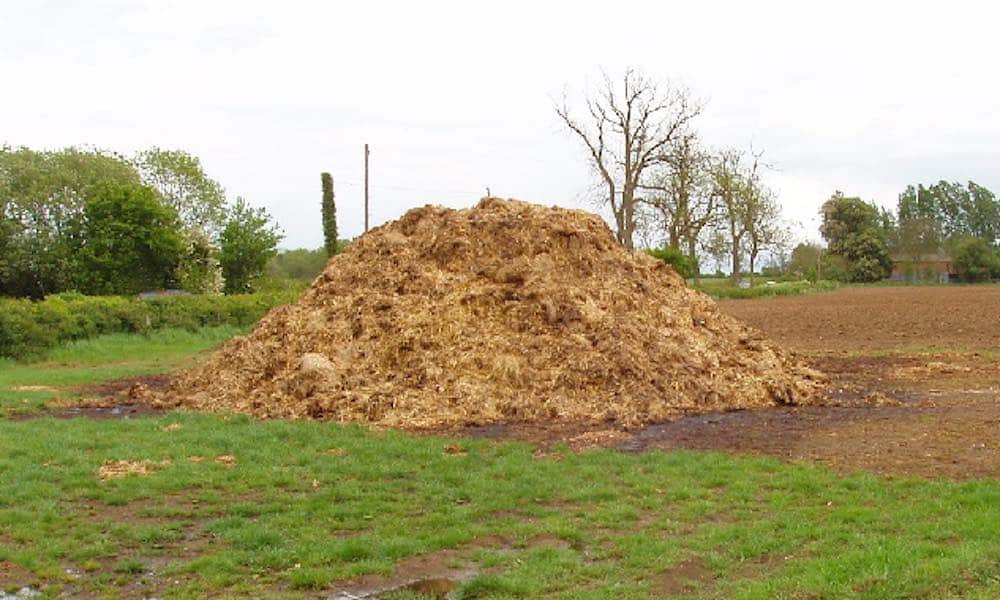Oudoimmissa uutisissa kerrotaan tänään naapureiden rajakiistasta, joka on eskaloitunut tonttien rajalle kasattuun ulostemuuriin.